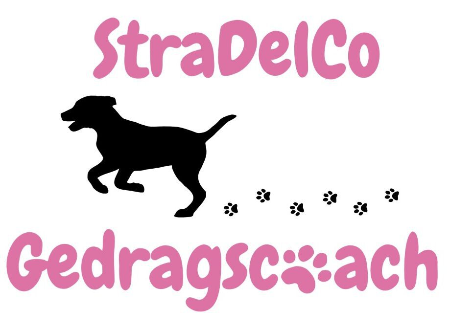 StraDelCo Gedragscoach